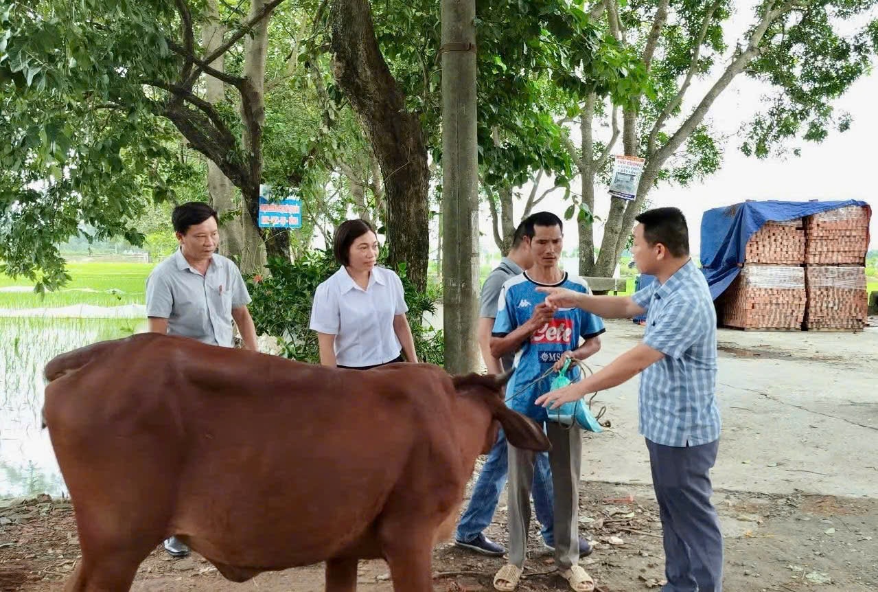 tay-phuong.jpg