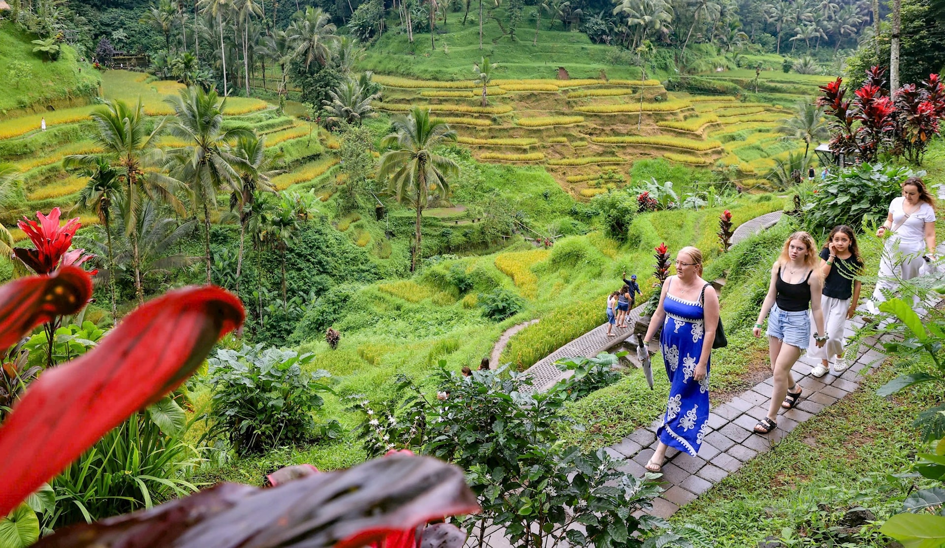 bali1.jpg