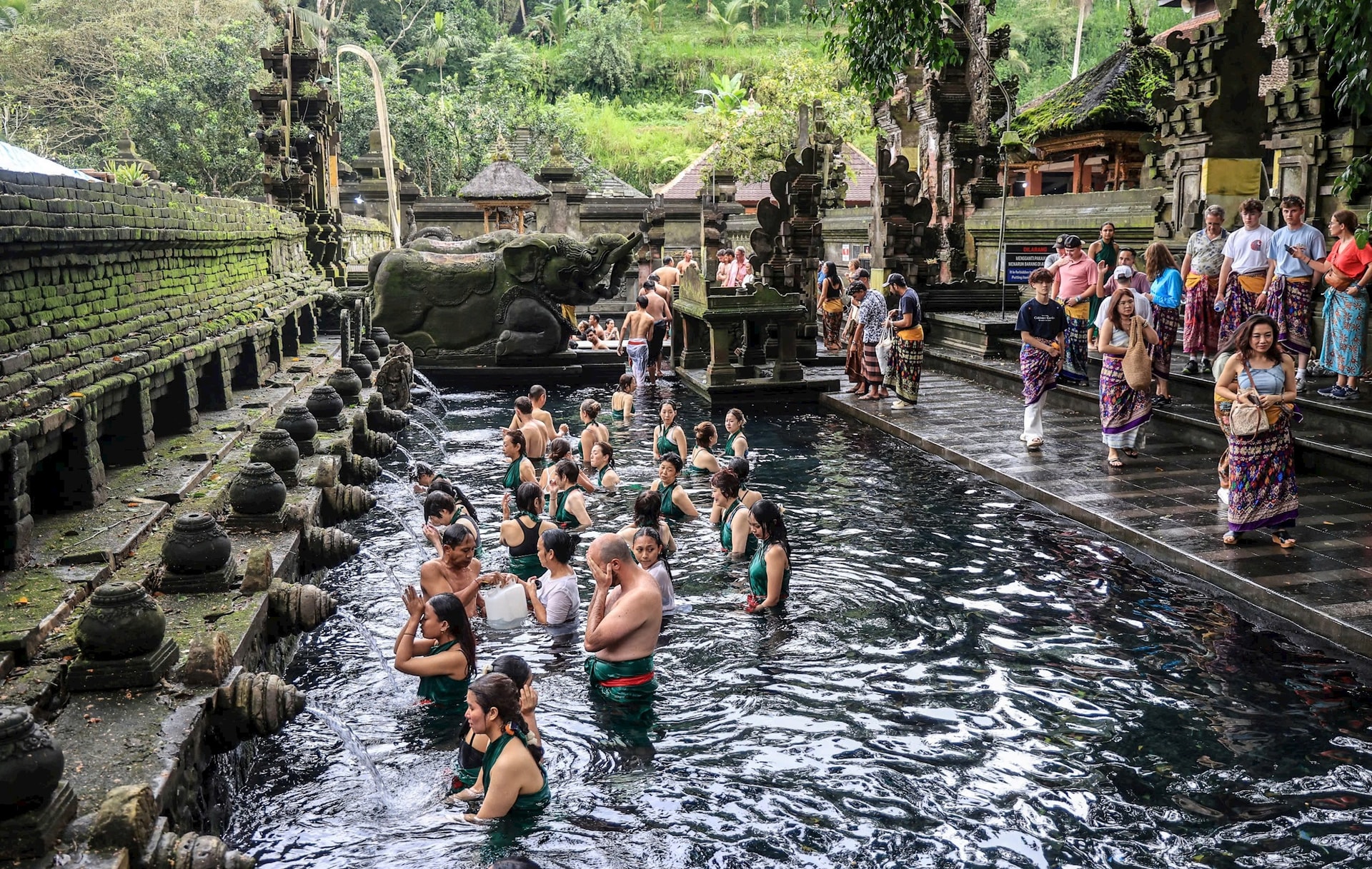 bali5.jpg