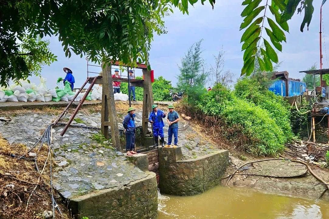 a428.hai-phong.jpg