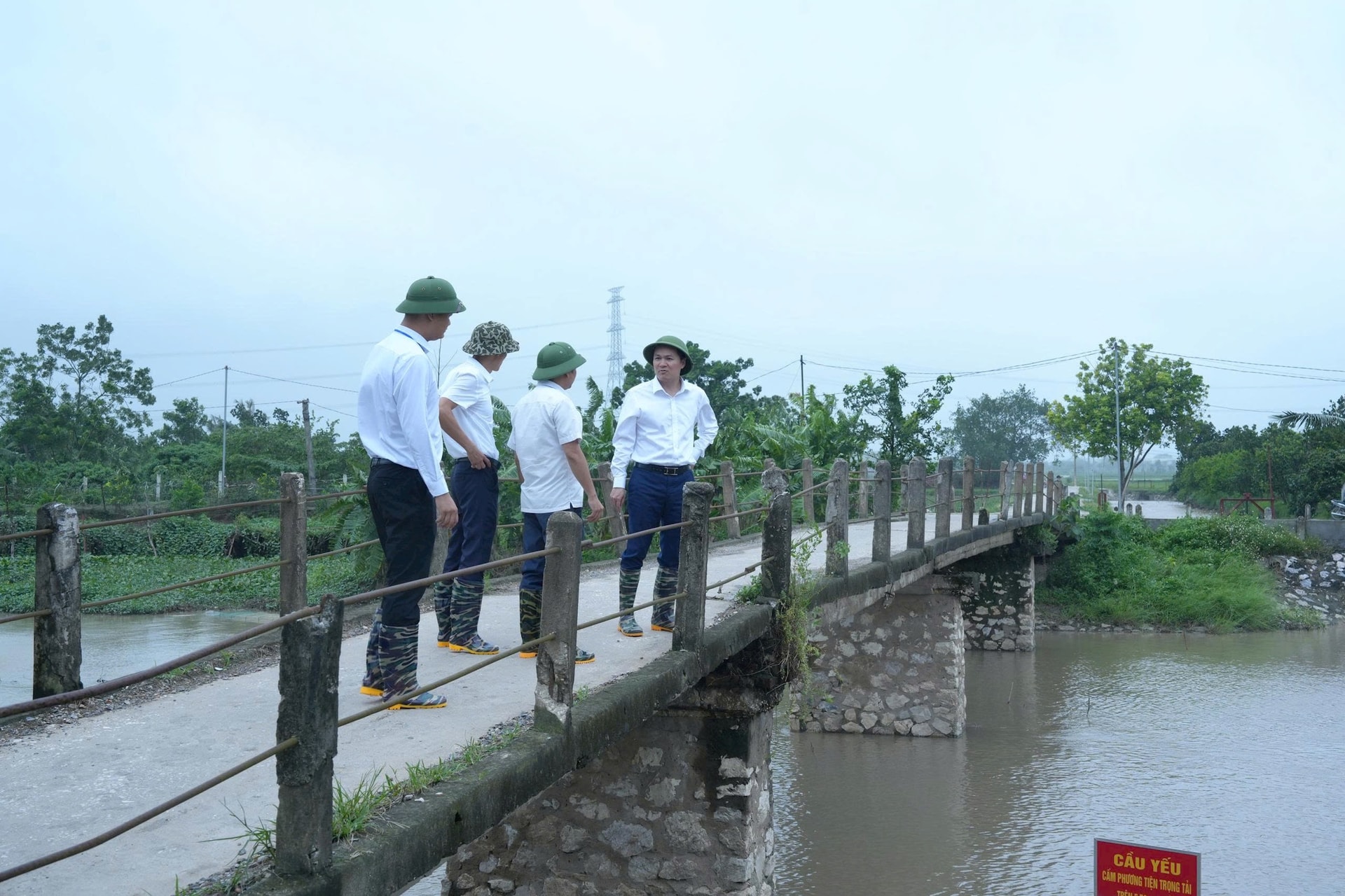 vu-quynh-1.jpg