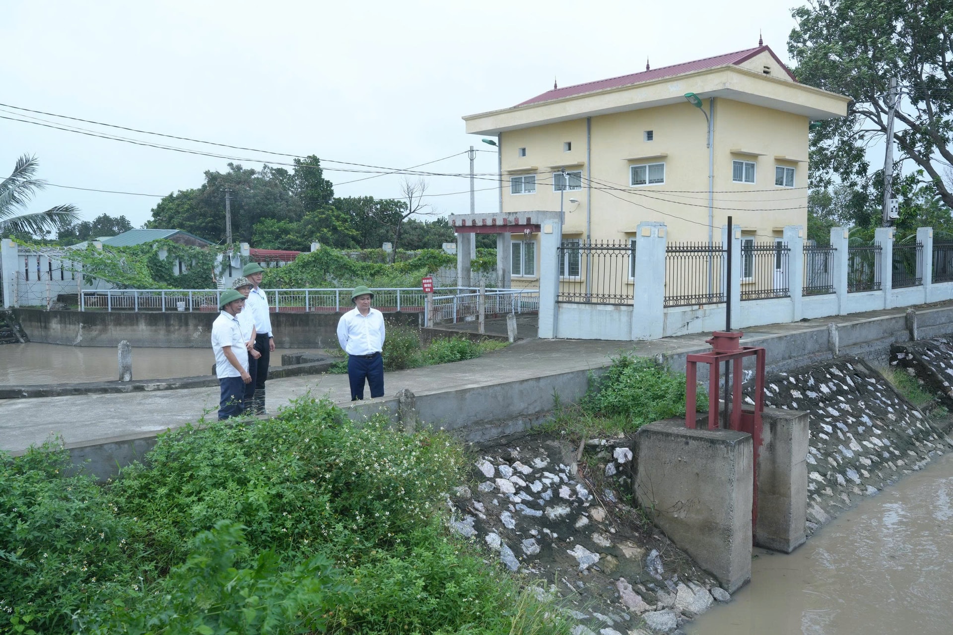 vu-quynh-3.jpg