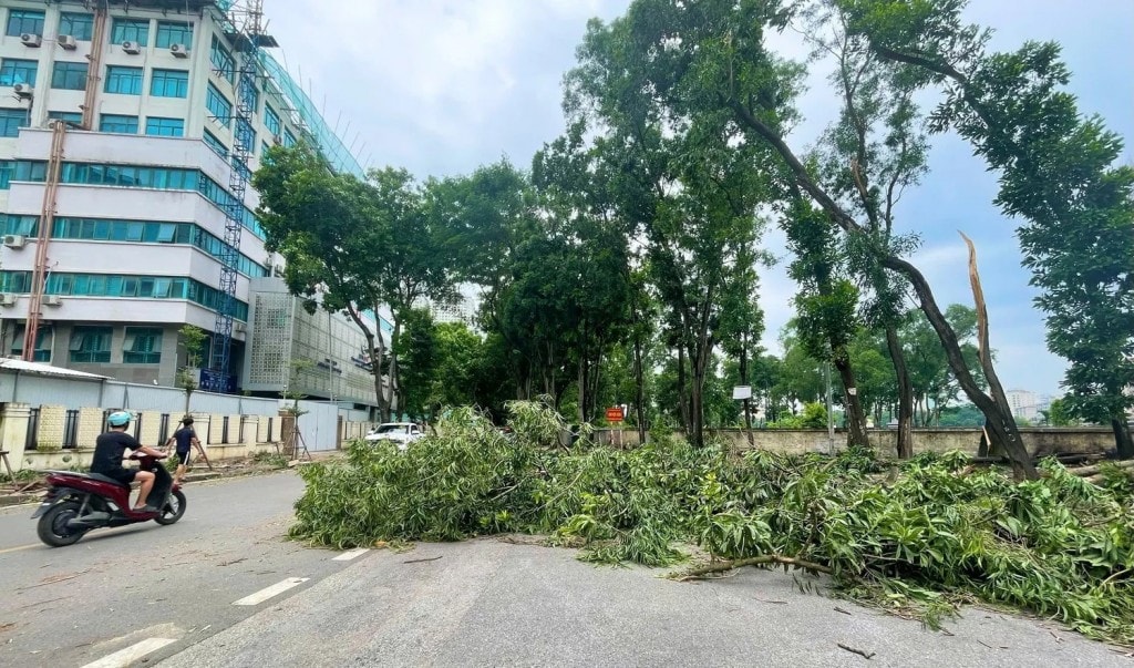 Ảnh minh họa Ảnh minh họa