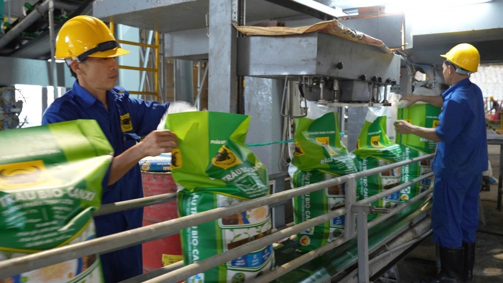 Hành trình đưa vi sinh vật vào Phân bón Đầu Trâu Bio-Canxi Hành trình đưa vi sinh vật vào Phân bón Đầu Trâu Bio-Canxi