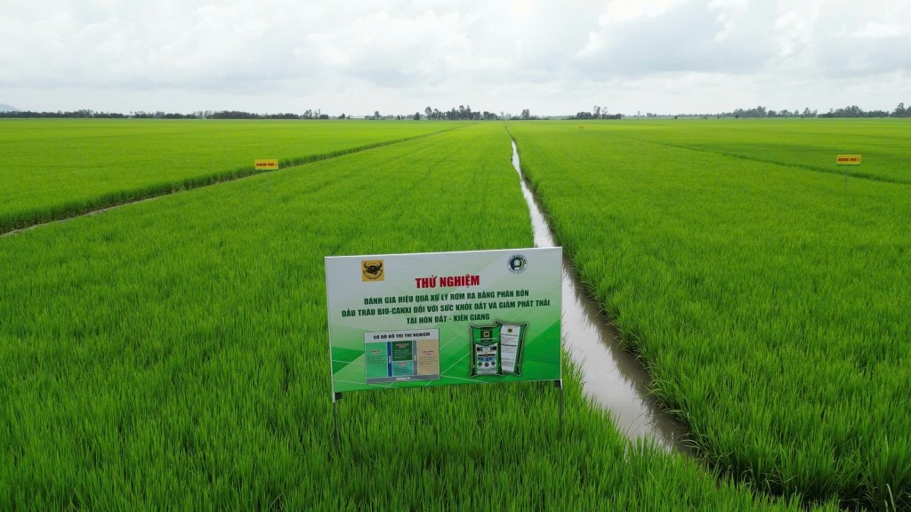 Hành trình đưa vi sinh vật vào Phân bón Đầu Trâu Bio-Canxi Hành trình đưa vi sinh vật vào Phân bón Đầu Trâu Bio-Canxi
