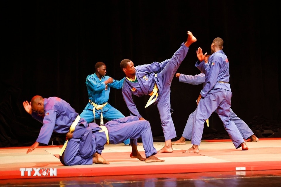 vovinam-8.jpg