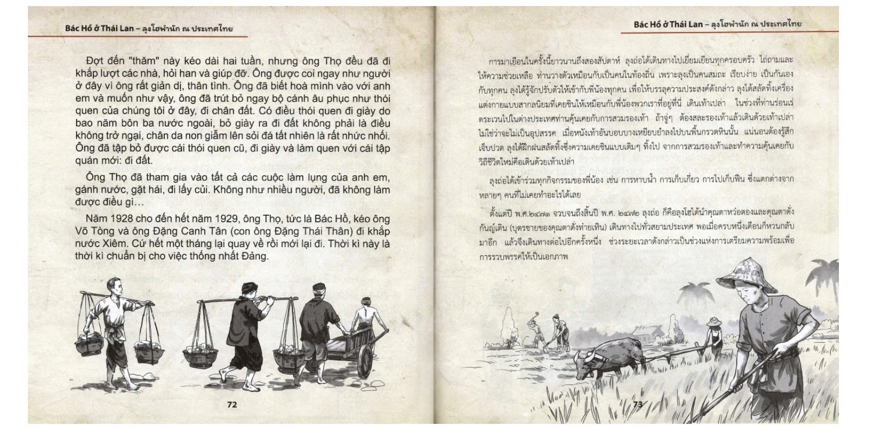 bac-ho-o-thai-lan-1.jpg
