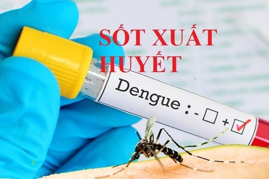 [Podcast] Tin tức ngày 24-7: Hà Nội quyết không để dịch sốt xuất huyết bùng phát