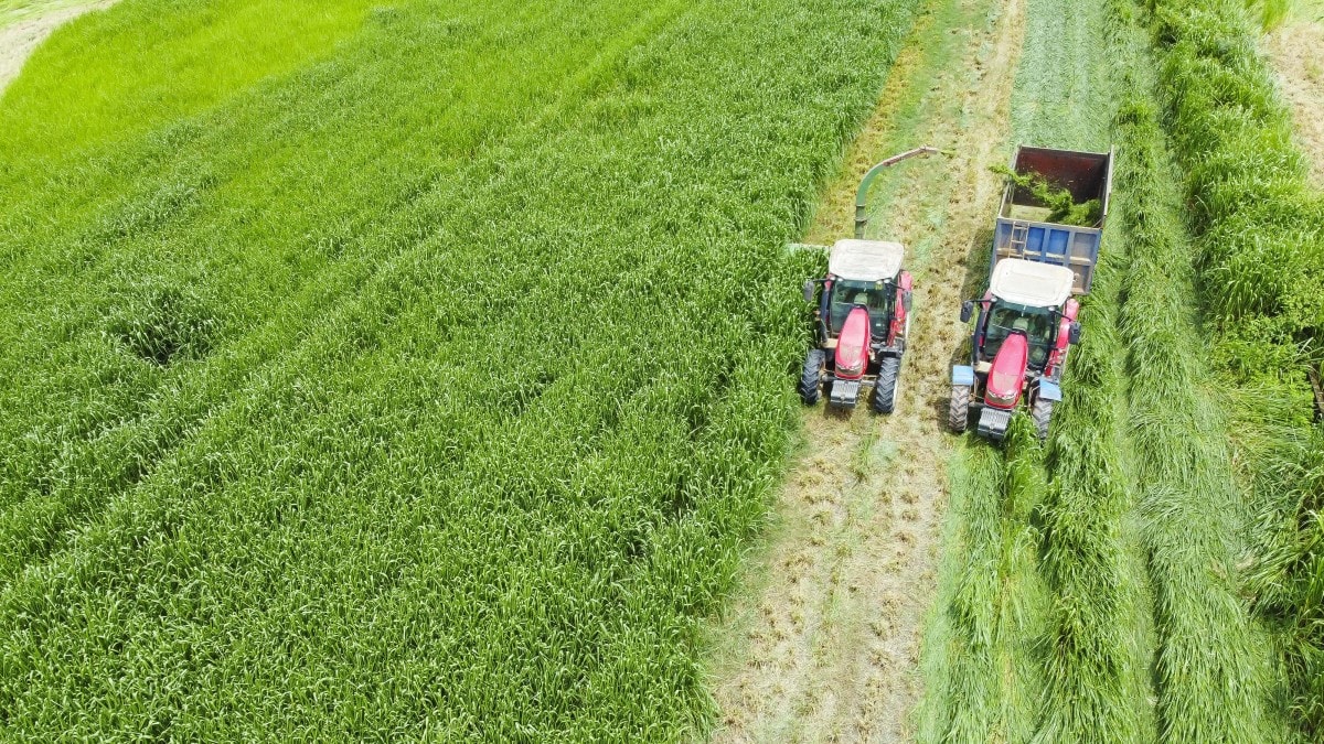 “Mở khóa tự nhiên” để phát triển bền vững - Vinamilk truyền cảm hứng đến cộng đồng doanh nghiệp