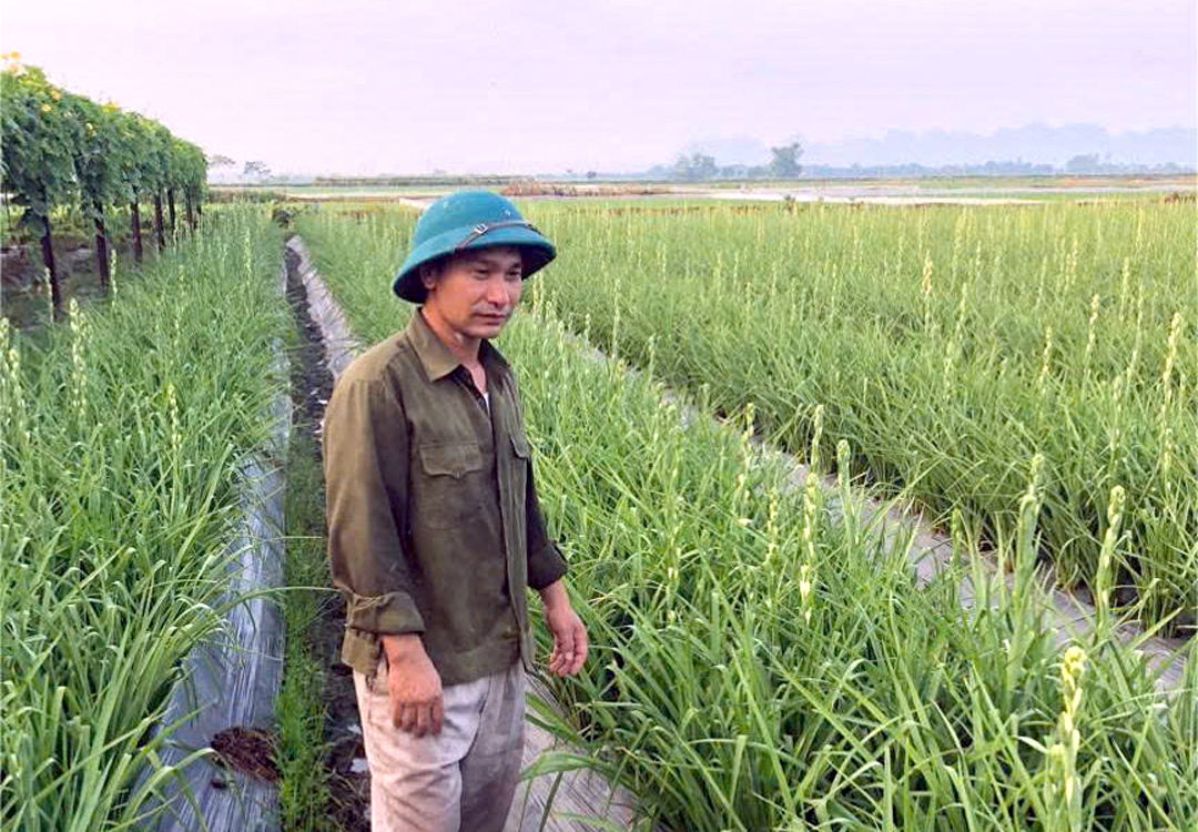 Bộ đội cụ Hồ chung tay xây dựng Thủ đô