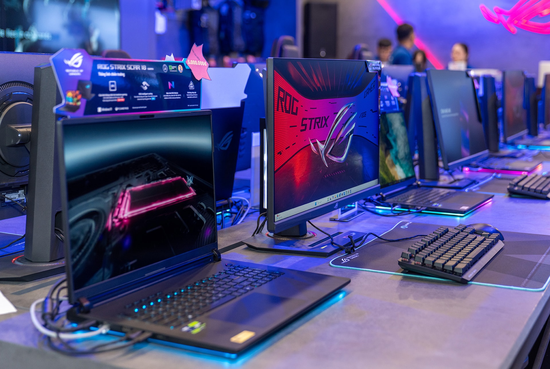 rog_2.jpg