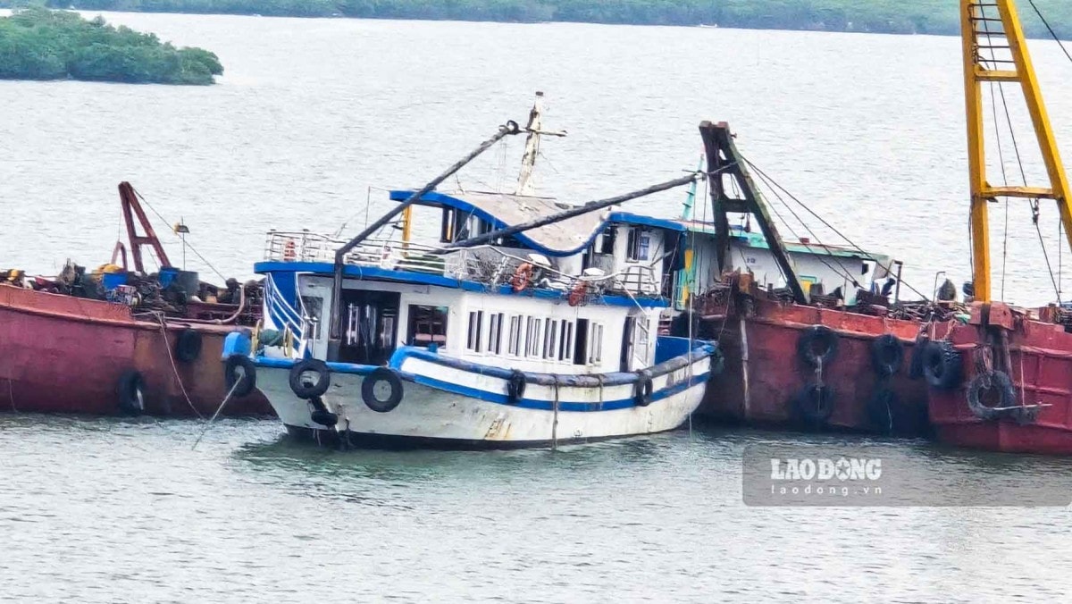 Phó Thủ tướng Nguyễn Hòa Bình yêu cầu giải pháp xử lý lỗ hổng từ vụ lật tàu Vịnh Xanh 58