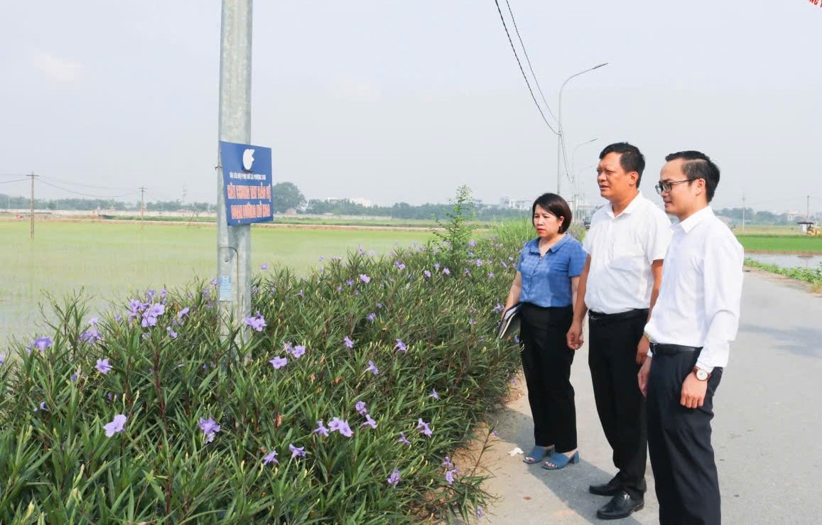 6quoc-oai.jpg