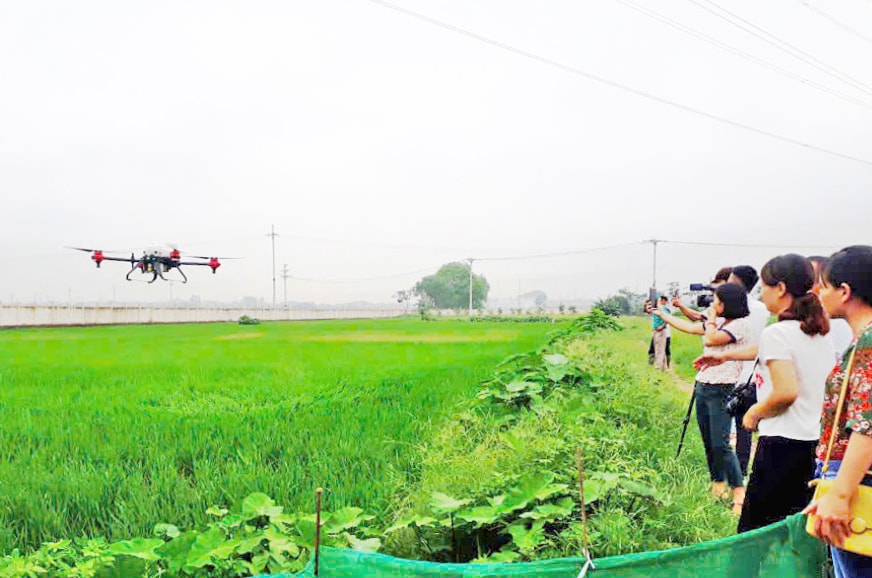 nong-2.jpg