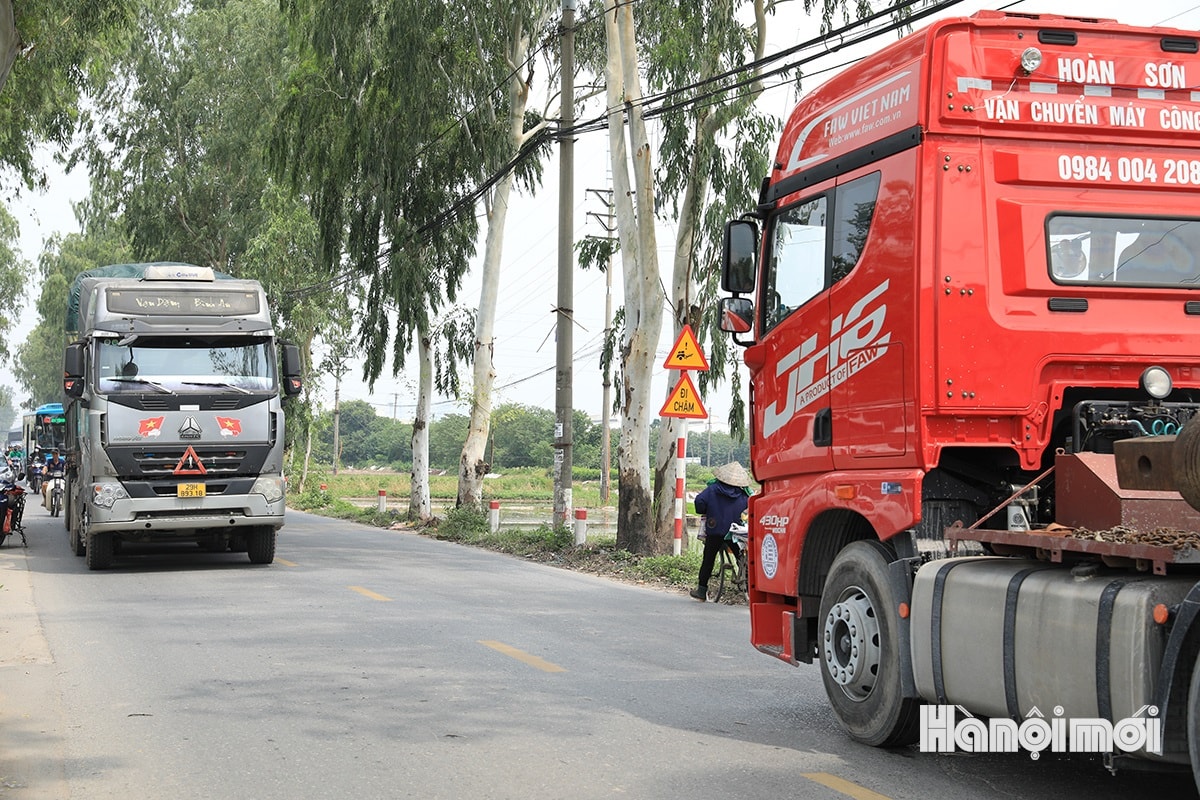 W_duong-70-11.jpg