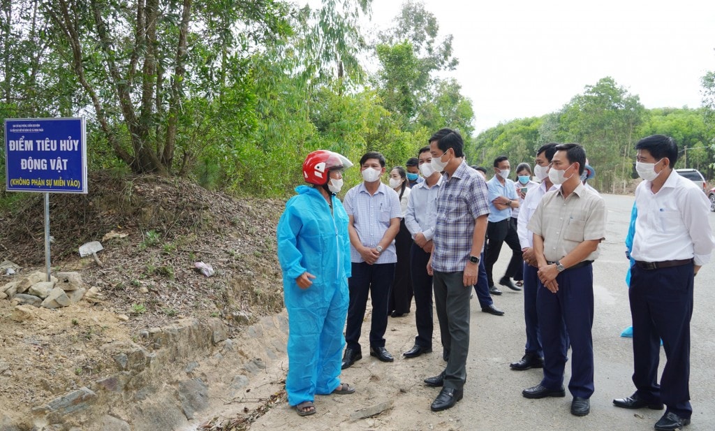 Phó Chủ tịch Thường trực UBND tỉnh Hoàng Nam kiểm tra điểm tiêu hủy ở xã Trung Thuần Phó Chủ tịch Thường trực UBND tỉnh Hoàng Nam kiểm tra điểm tiêu hủy ở xã Trung Thuần