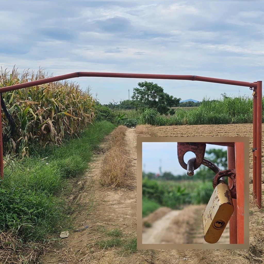Xử lý tình trạng cát tặc lộng hành ven sông Thu Bồn Xử lý tình trạng cát tặc lộng hành ven sông Thu Bồn