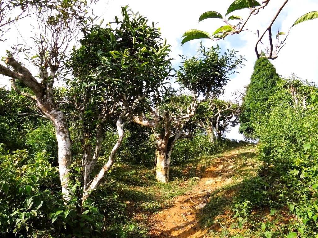 Bài 1: Sản vật địa phương - “kho báu” văn hóa còn bỏ ngỏ