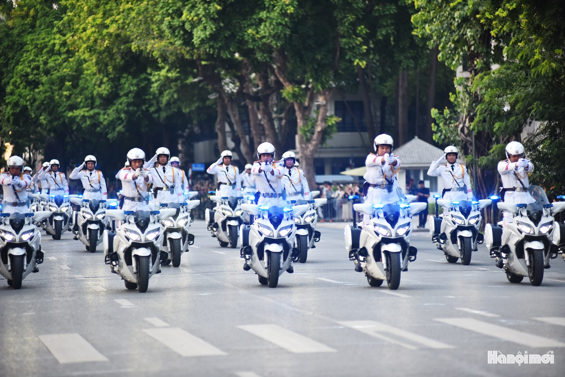 W_hnm-cand-01.jpg