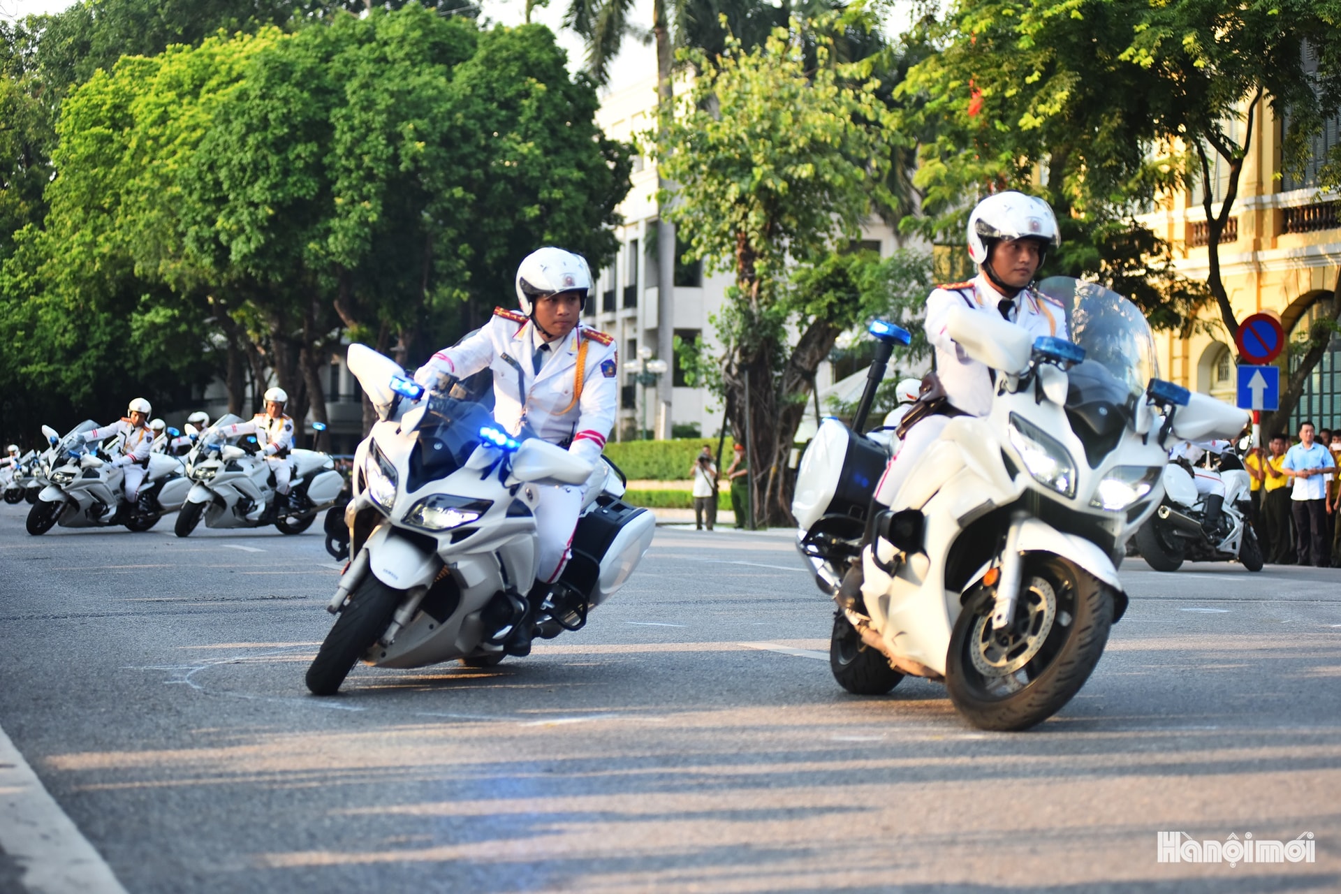 W_hnm-cand-03a.jpg