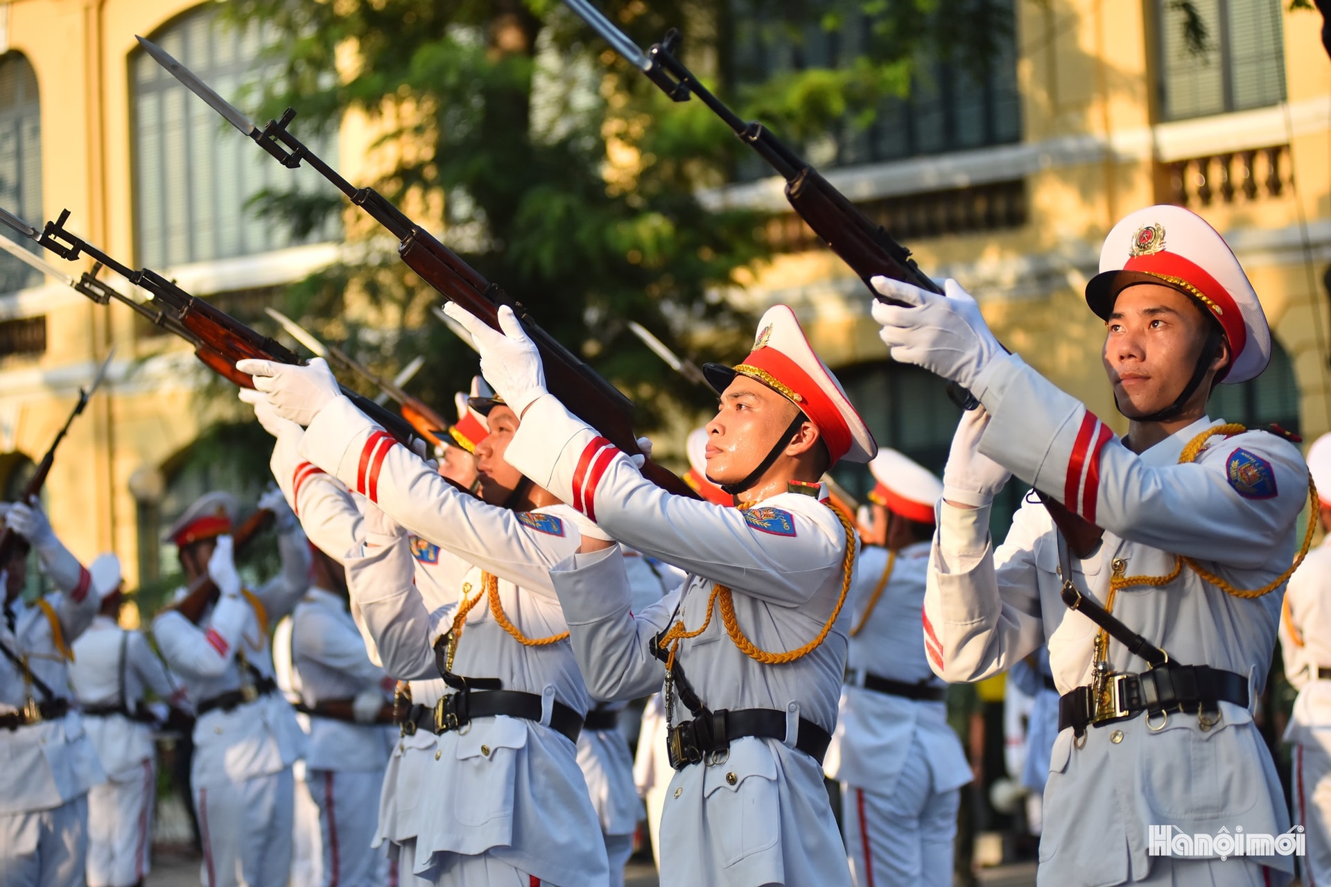 W_hnm-cand-05a.jpg