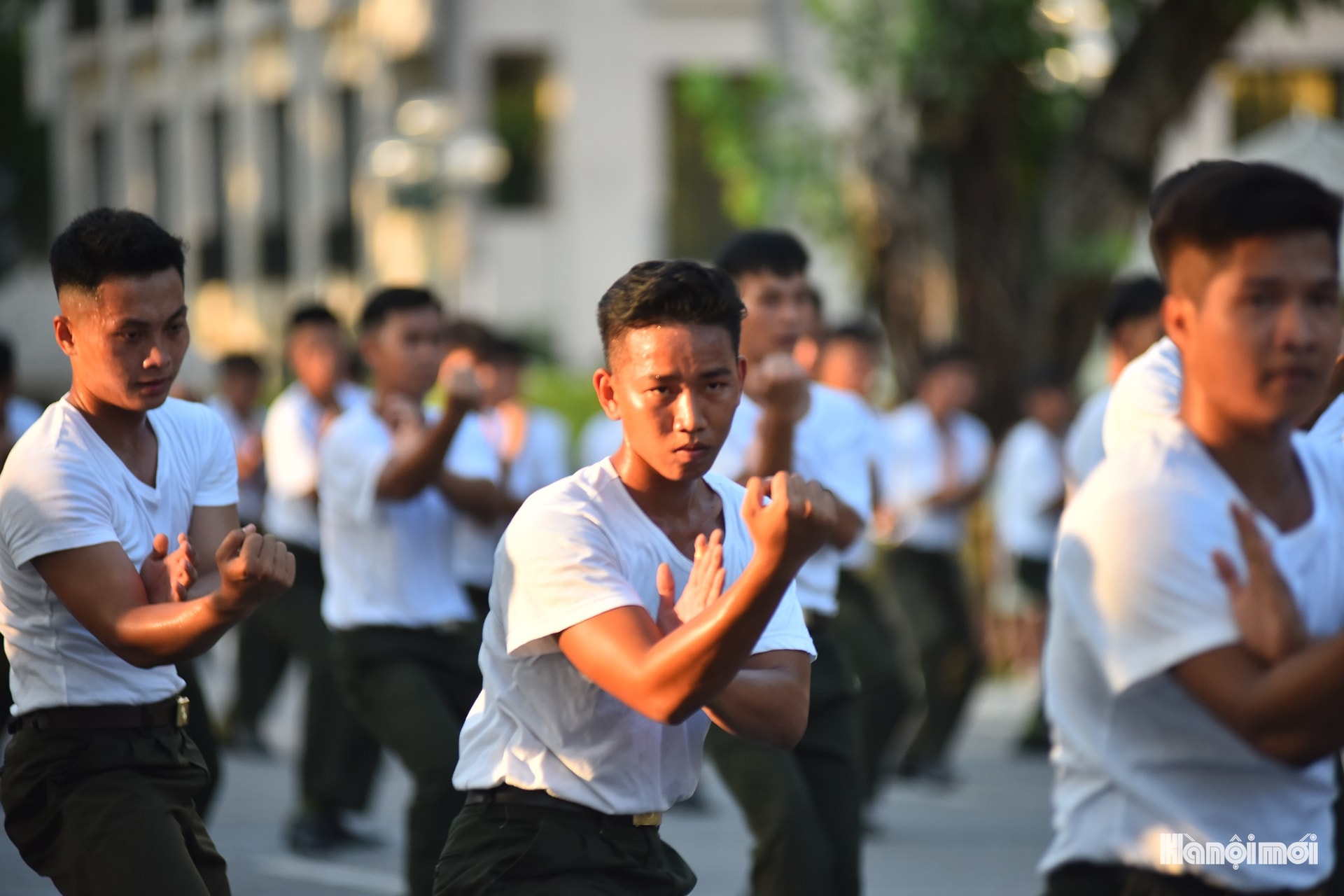 W_hnm-cand-07.jpg