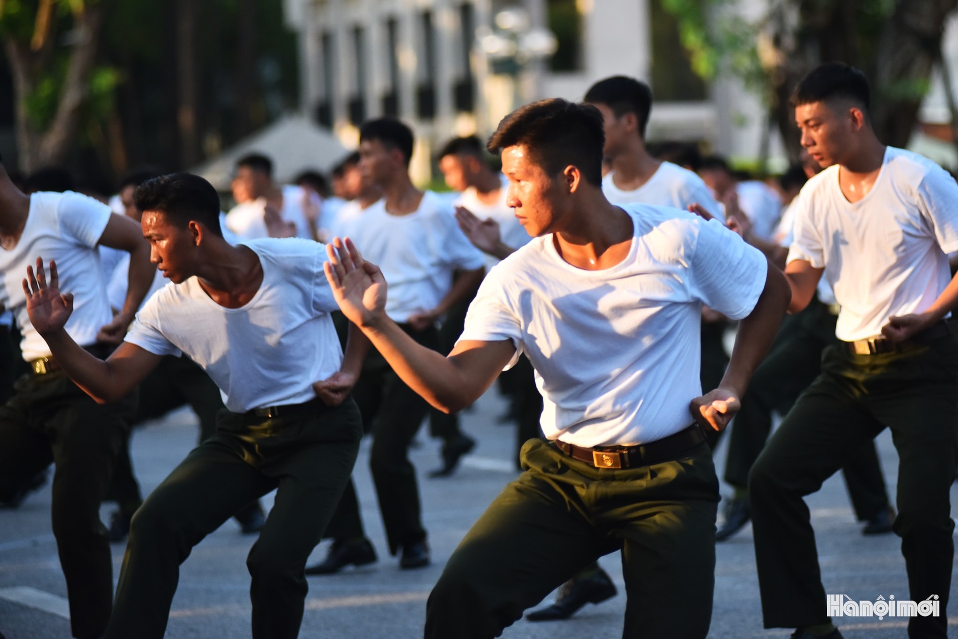 W_hnm-cand-07a.jpg