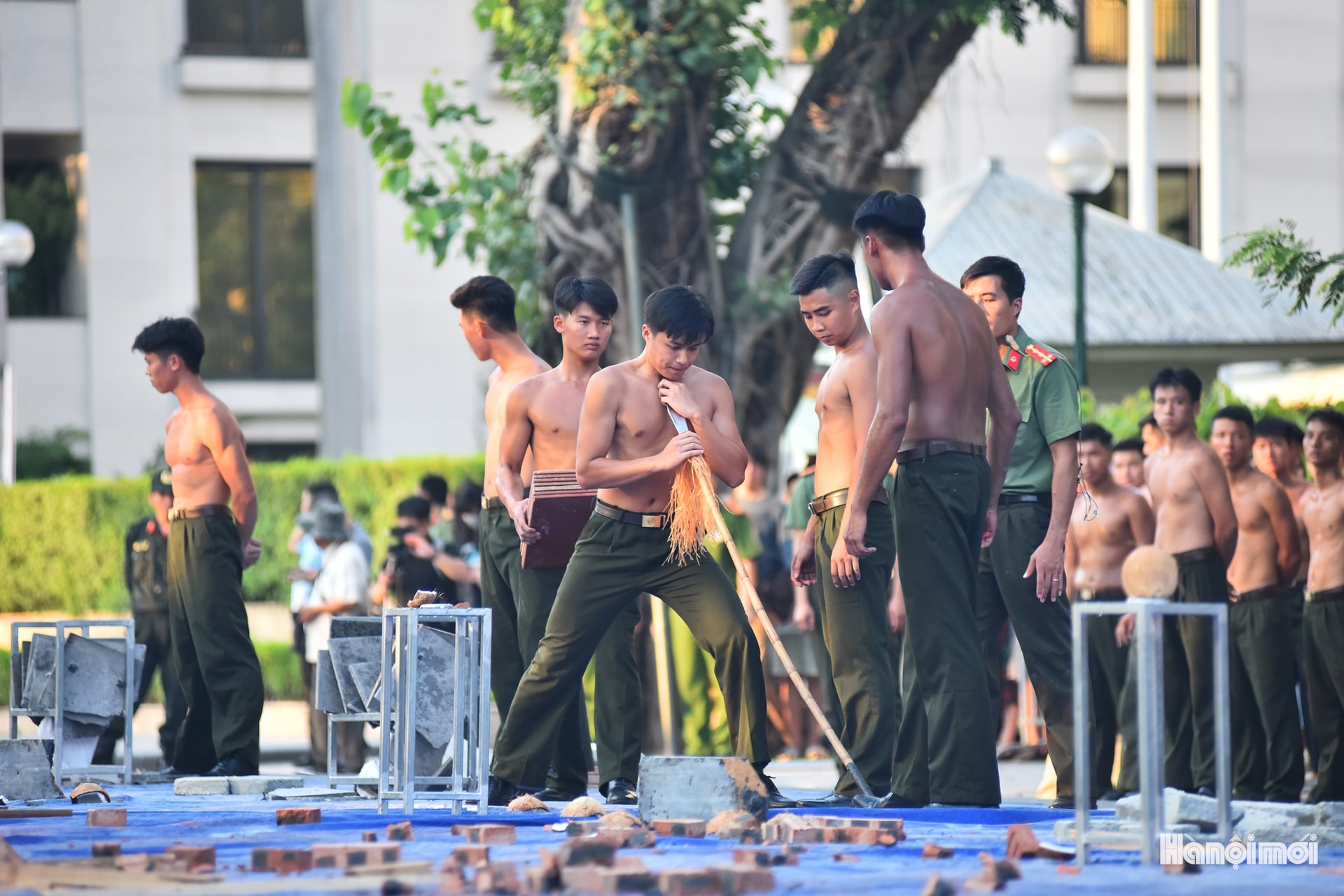 W_hnm-cand-10b.jpg