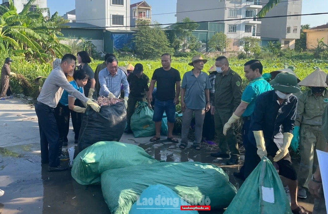 Sáng nay (2/8): Hà Nội đồng loạt ra quân tổng vệ sinh môi trường tại 126 xã, phường