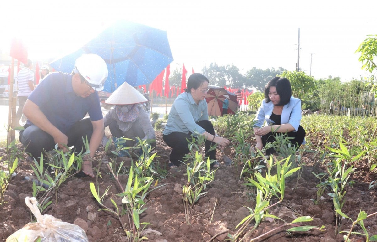 Sáng nay (2/8): Hà Nội đồng loạt ra quân tổng vệ sinh môi trường tại 126 xã, phường