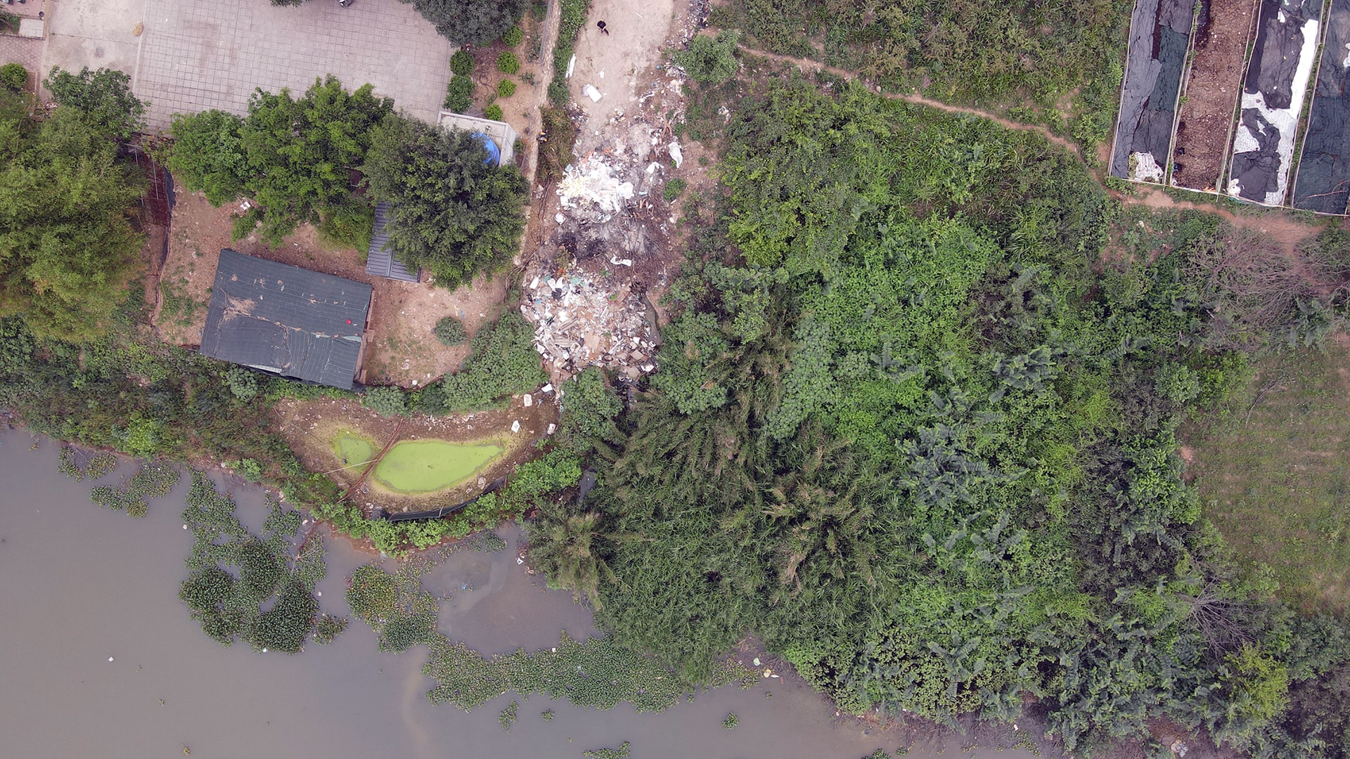 dji_0560.jpg