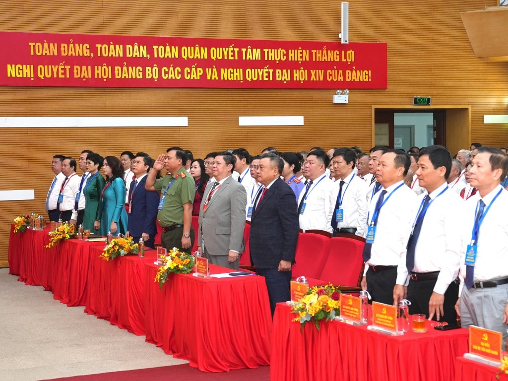 Các đồng chí lãnh đạo, đại biểu tham dự đại hội