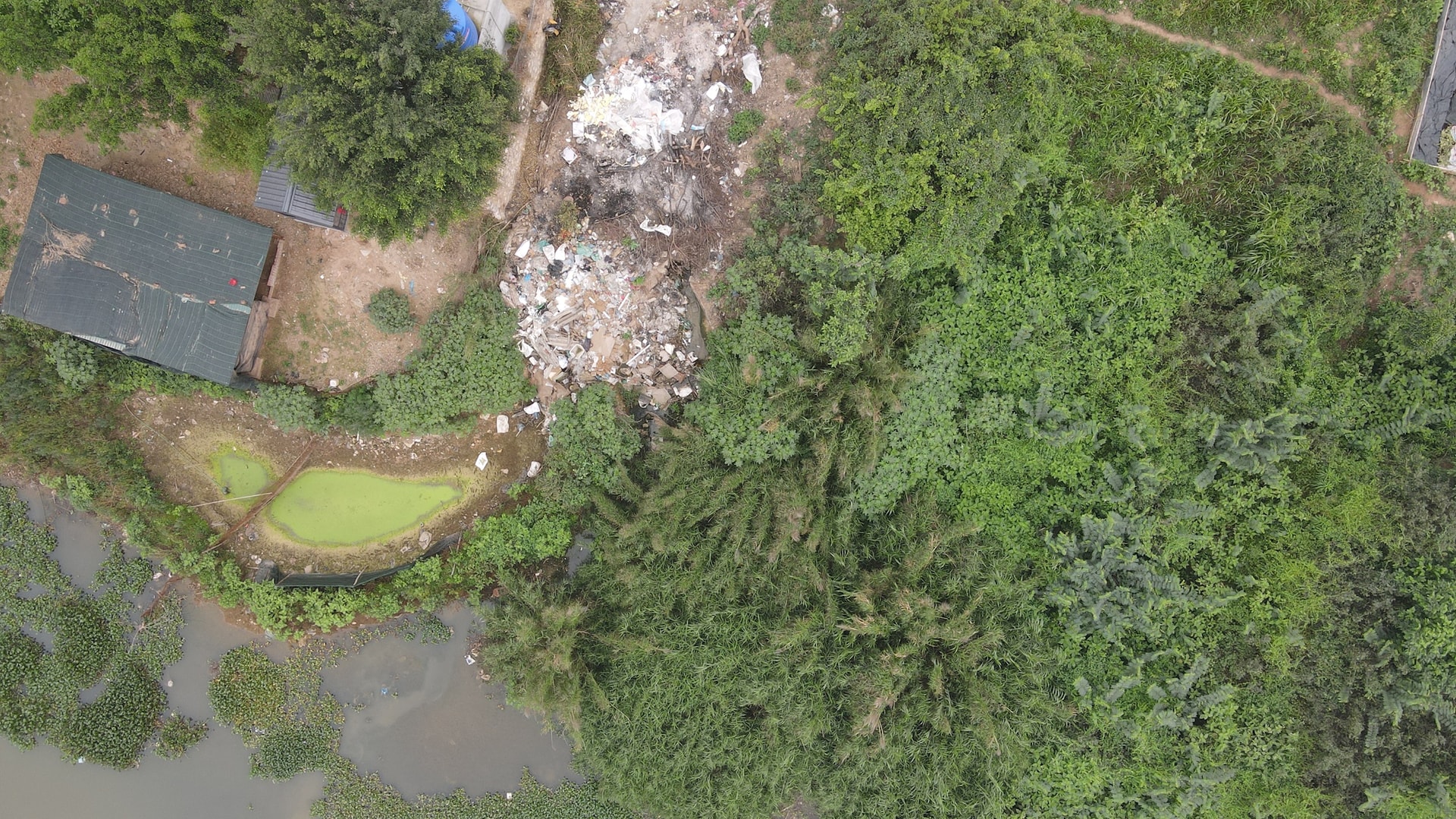 dji_0561.jpg