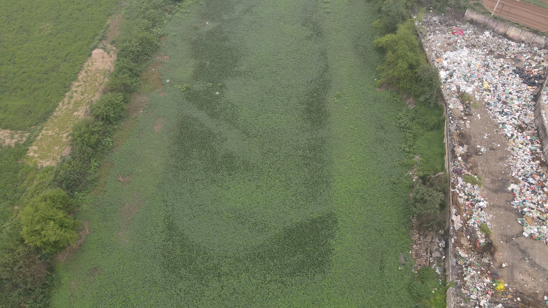 dji_0604.jpg