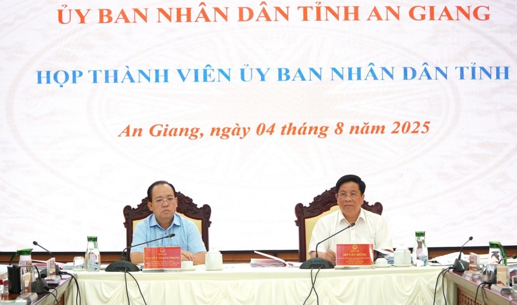 Ủy viên dự khuyết Ban Chấp hành Trung ương Đảng, Phó Bí thư Tỉnh ủy, Chủ tịch UBND tỉnh An Giang Hồ Văn Mừng chủ trì cuộc họp