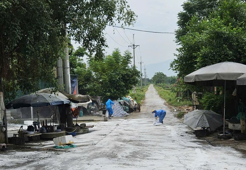 kieu-phu.jpg