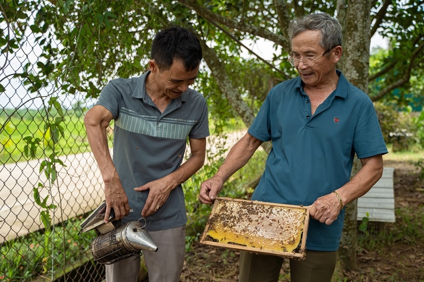 cuu-chien-binh-hoang-van-khoi-ben-phai-xa-mau-lam-tinh-thanh-hoa-vuot-qua-nghich-canh-phat-trien-trong-rung-nuoi-ong-tao-sinh-ke-on-dinh-cuoc-song.-anh-le-dinh-hai.jpg