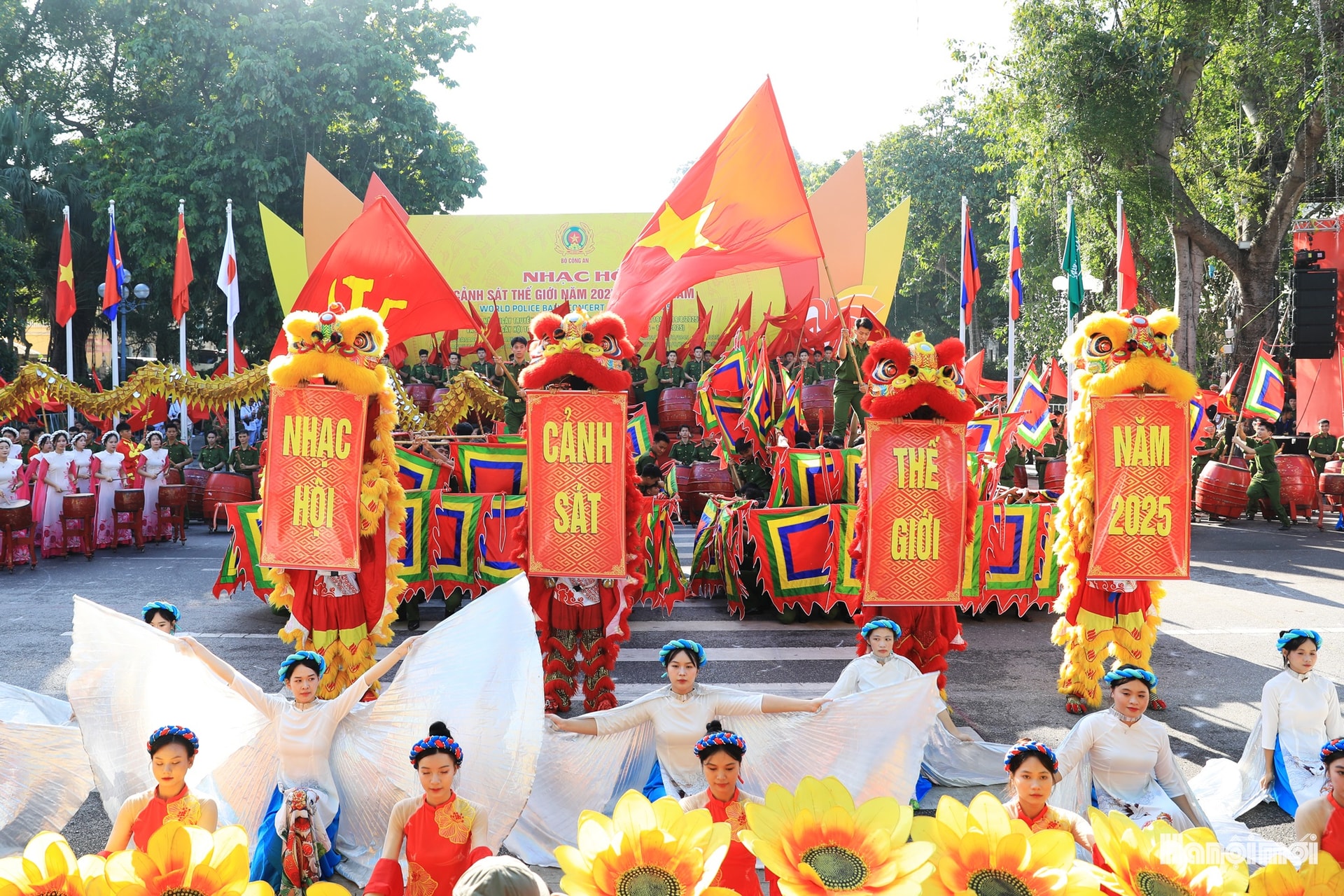 W_hnm-cstg-01.jpg