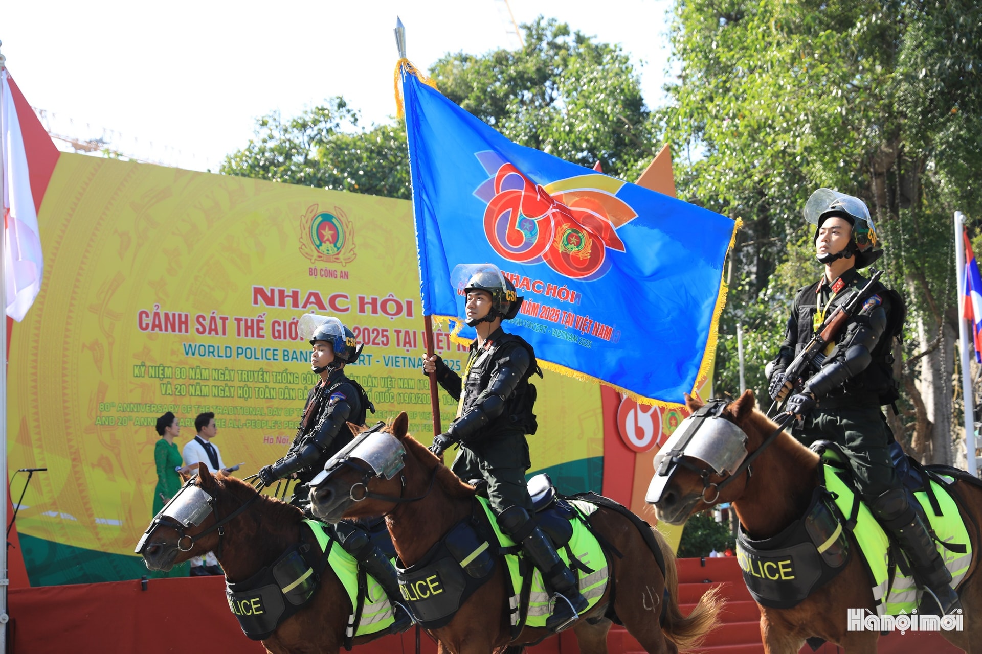 W_hnm-cstg-05.jpg