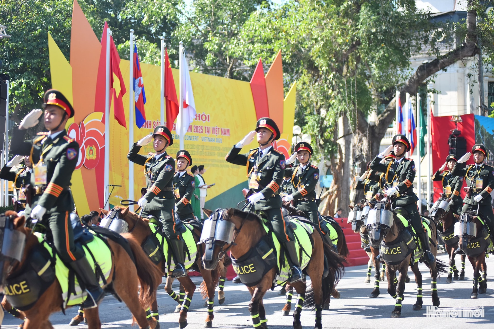 W_hnm-cstg-05a.jpg