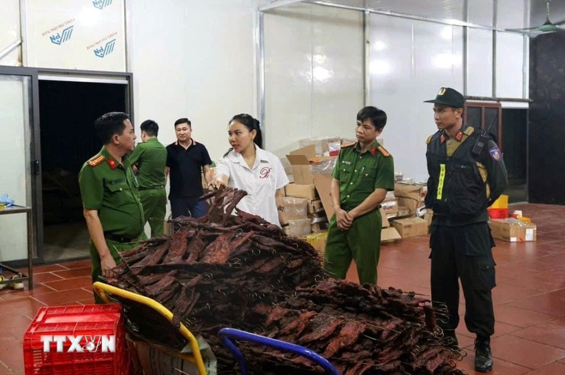 Hàng chục tấn thịt trâu, lợn tươi và thịt sấy không thành phẩm không đảm bảo vệ sinh an toàn thực phẩm chuẩn bị được đưa ra thị trường tiêu thụ. (Ảnh: TTXVN phát)