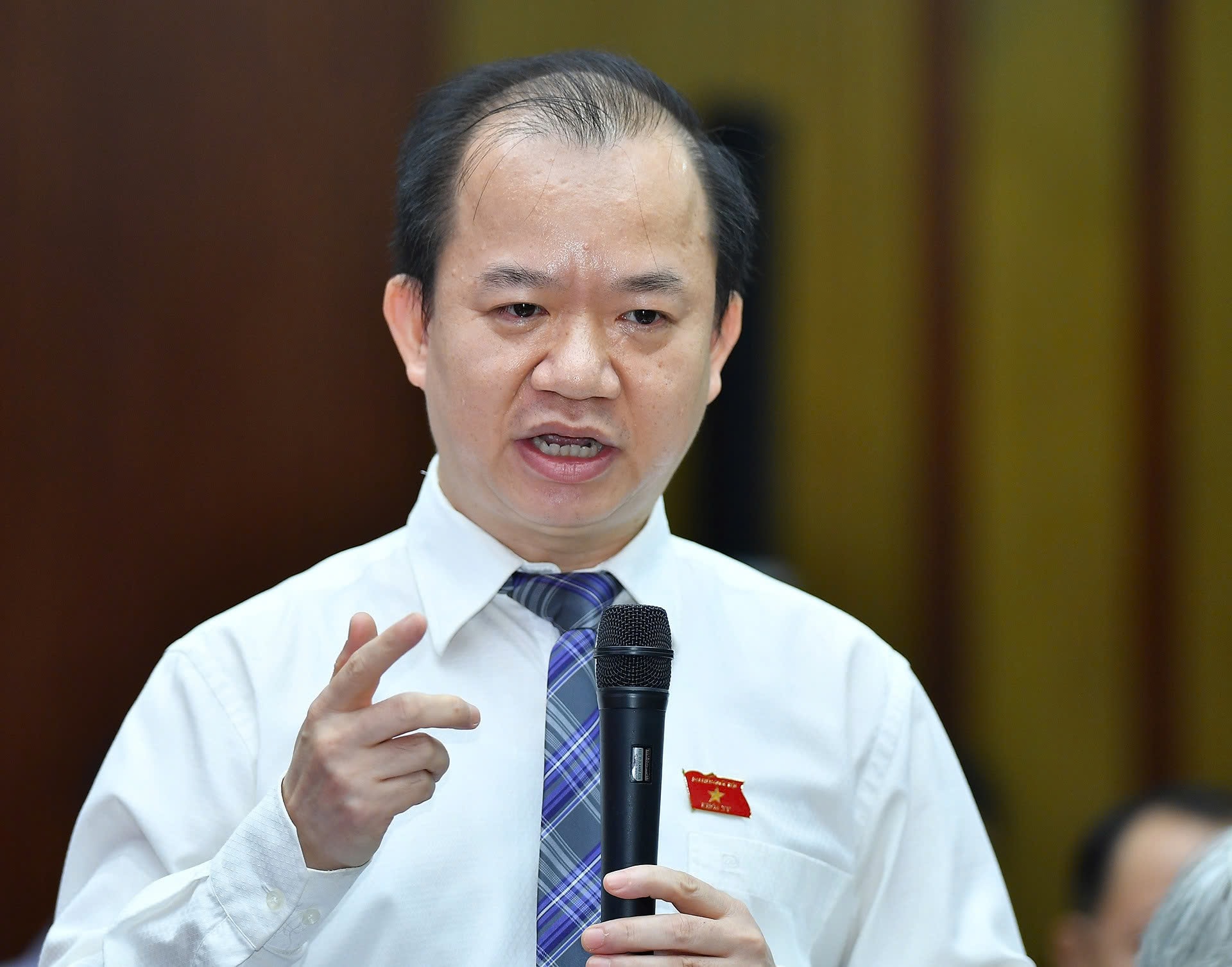 hoai-son.jpg