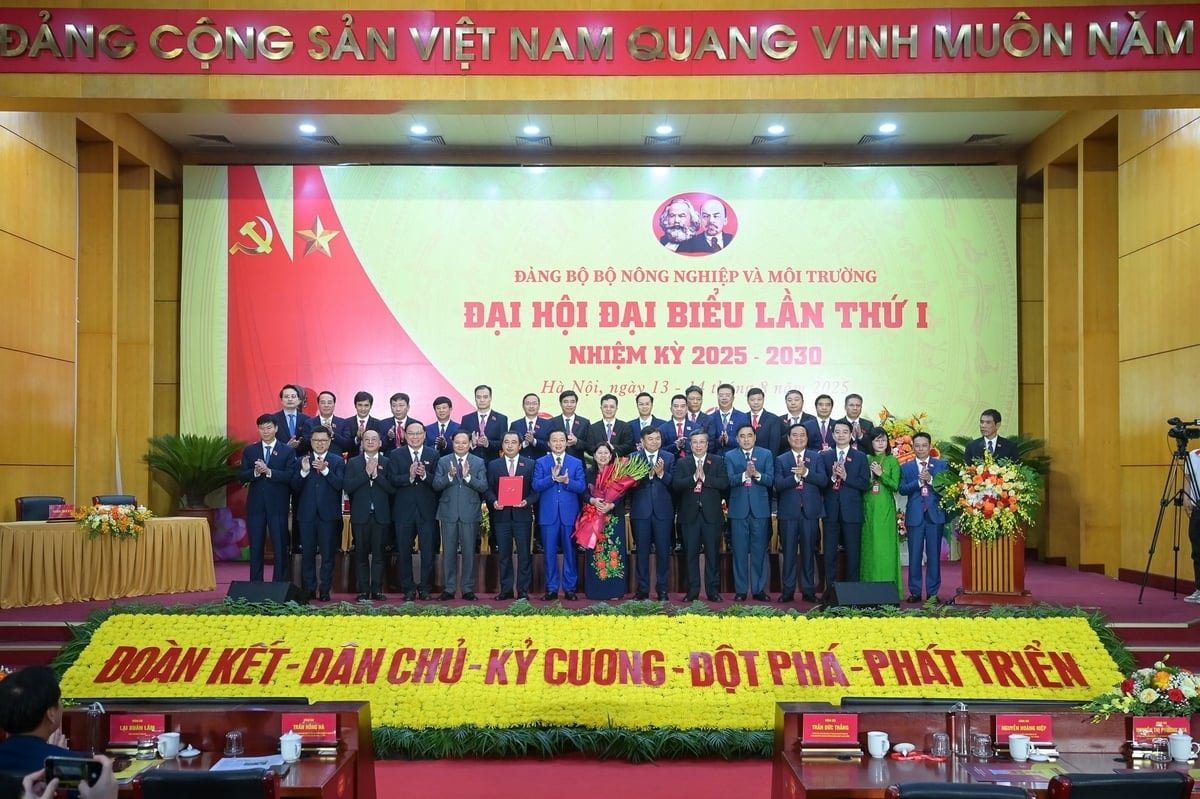 bo-nn-mt6.jpg