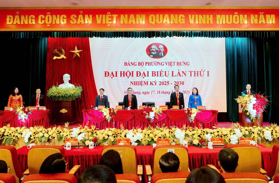 viethung2.jpg