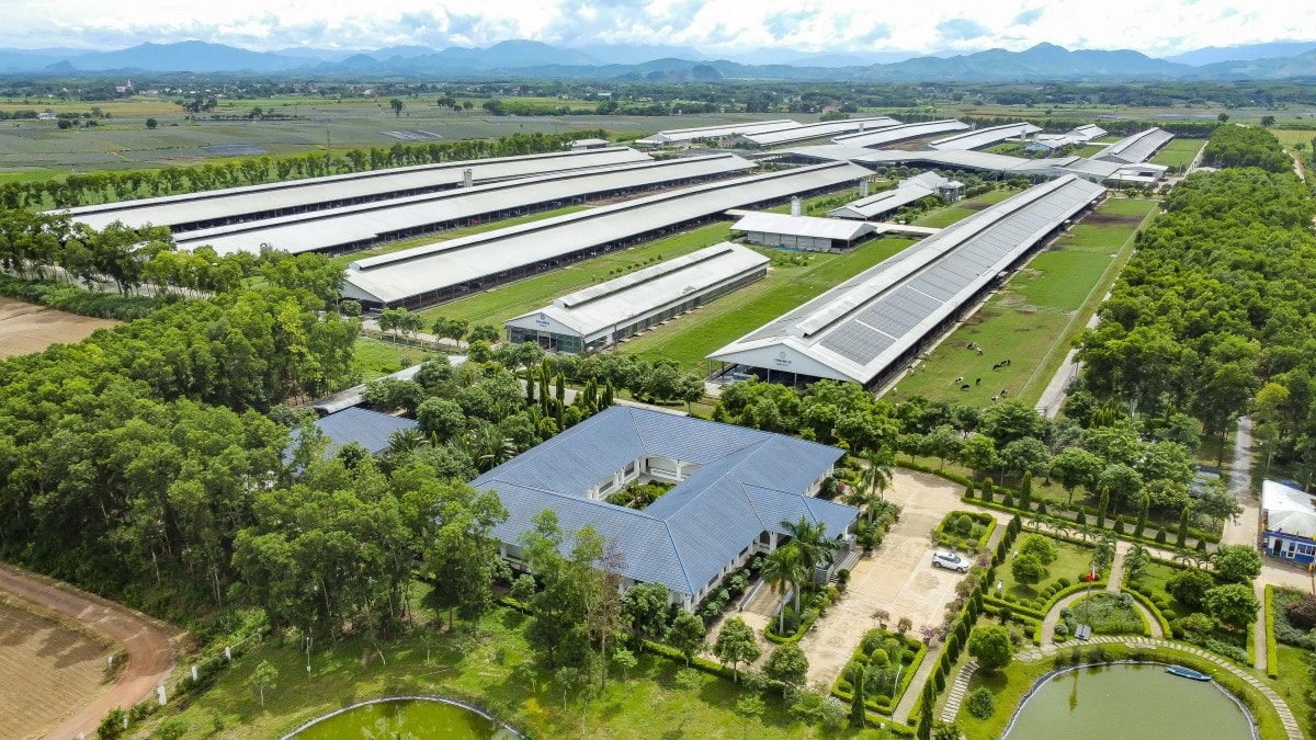 Tăng 4 bậc trong bảng xếp hạng thực phẩm toàn cầu: Vinamilk khẳng định sức mạnh thương hiệu Việt
