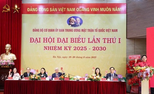 anh_bieu_quyet_icaz.jpg