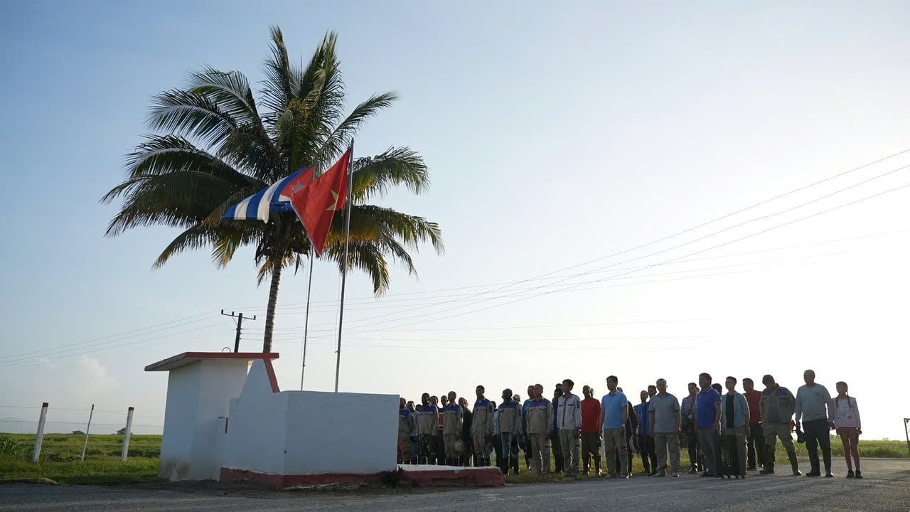 vtv5.jpg