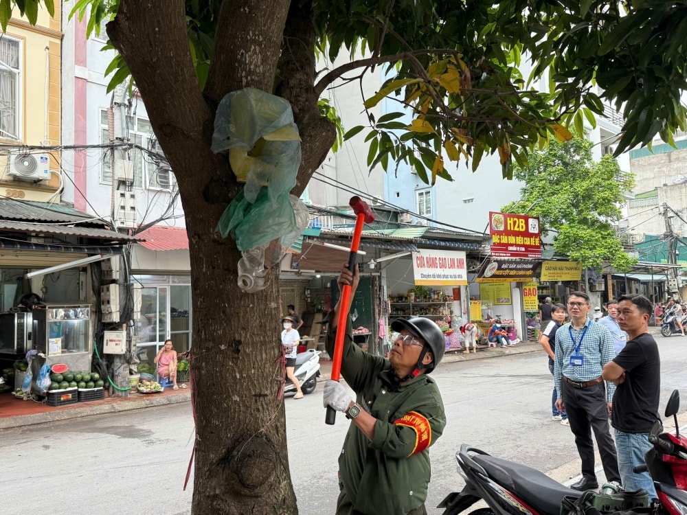 Phường Cầu Giấy: Dứt điểm, rõ trách nhiệm trong đảm bảo trật tự đô thị Phường Cầu Giấy: Dứt điểm, rõ trách nhiệm trong đảm bảo trật tự đô thị
