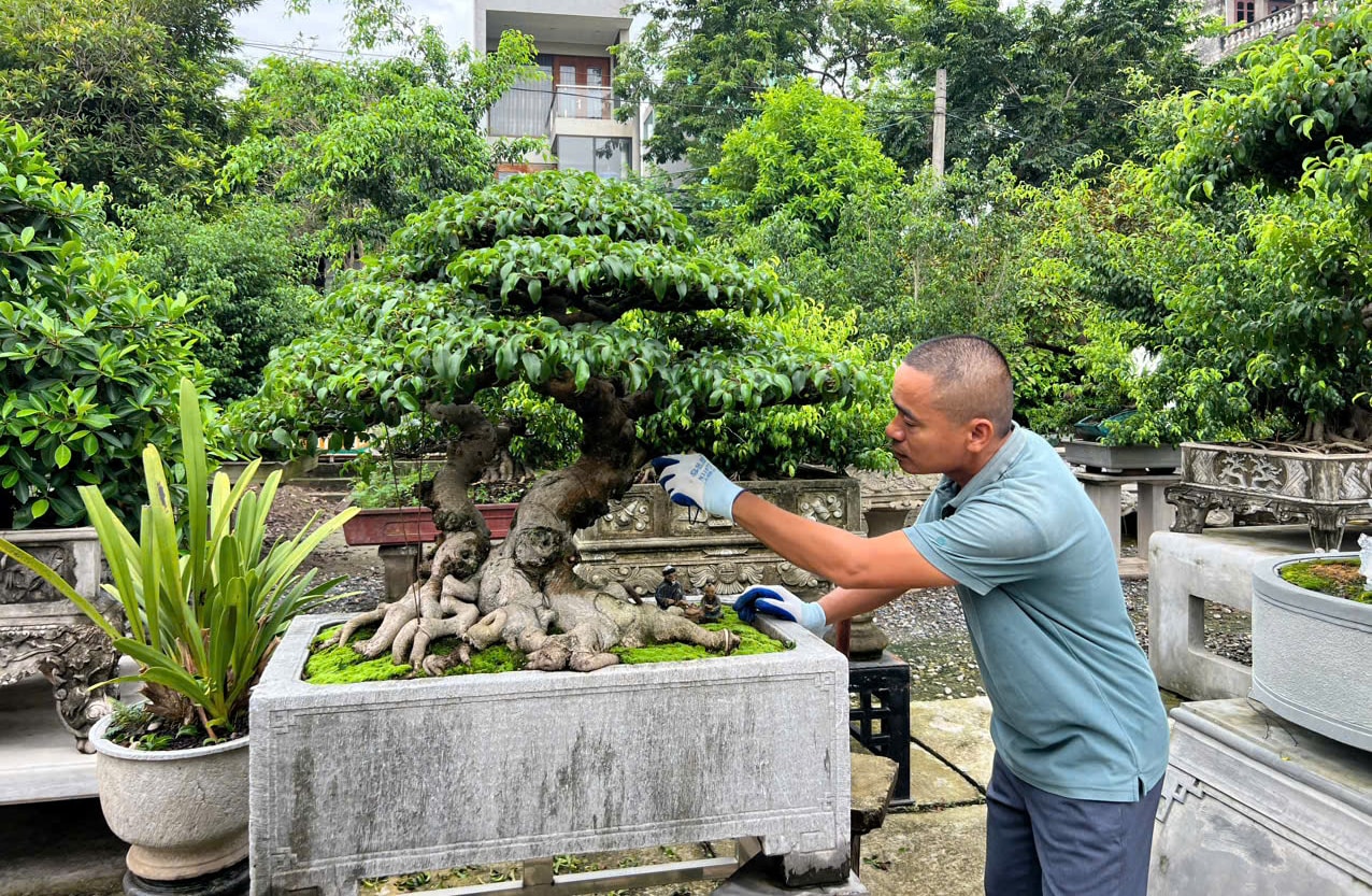 សមាគមរុក្ខជាតិទេសភាព និងការថែទាំដើមឈើ។ អាញ់ហៀងភឿង.jpg