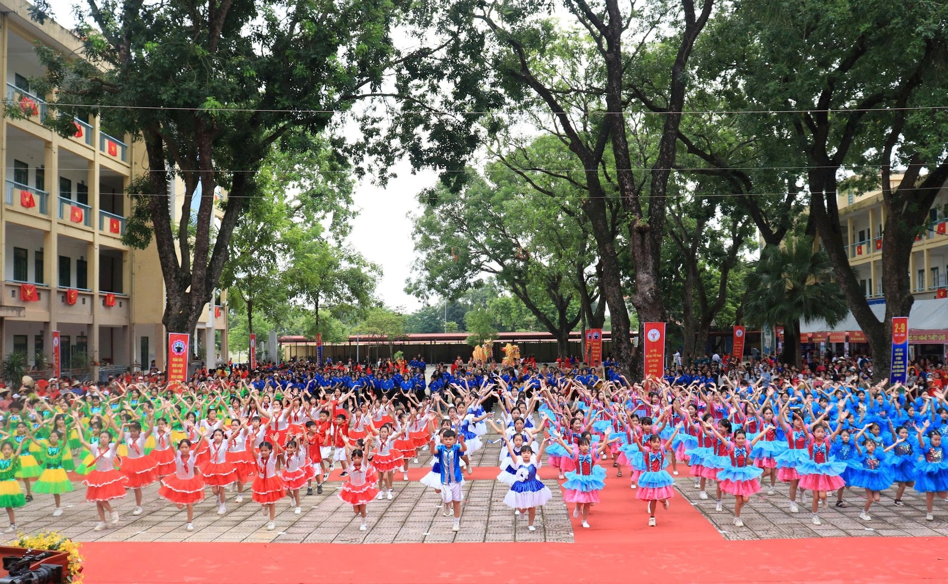 thu-lam-1.jpg